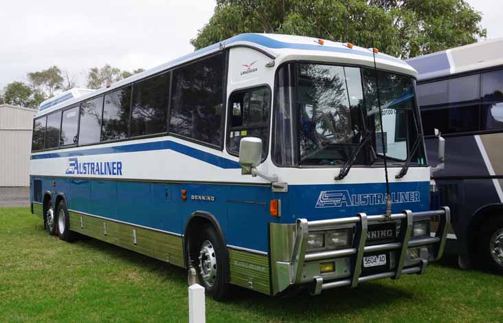 Australiner Denning Landseer 5604AO